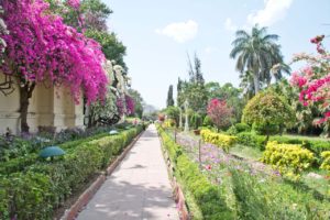 Flower Garden at Saheliyo ki badi Udaipur