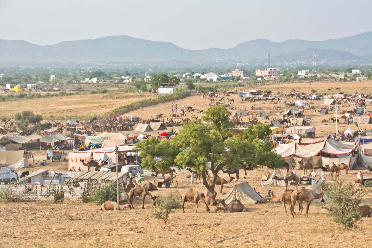 Pushkar camel Fair ground