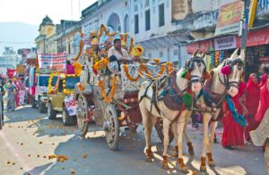 Pushkar camel fair buggies