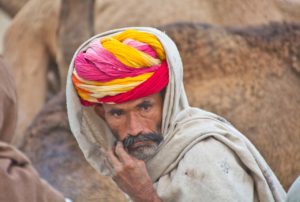 Pushkar camel fair in morning