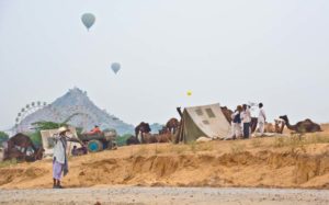 Pushkar camel fair in morning