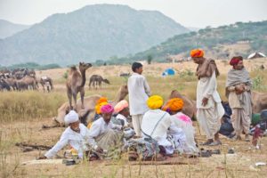 Pushkar camel fair in morning