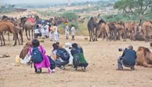 Pushkar camel fair in morning photographers