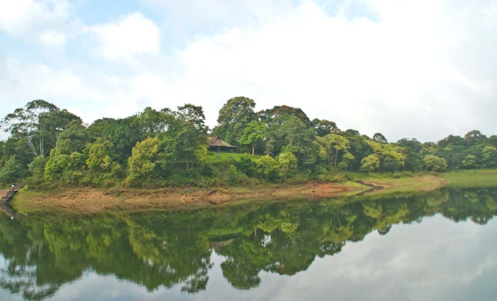 Boating in Periyar lake