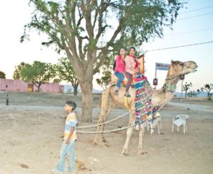 Camel ride Pushkar