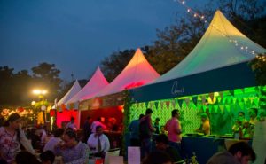 Palate fest at night