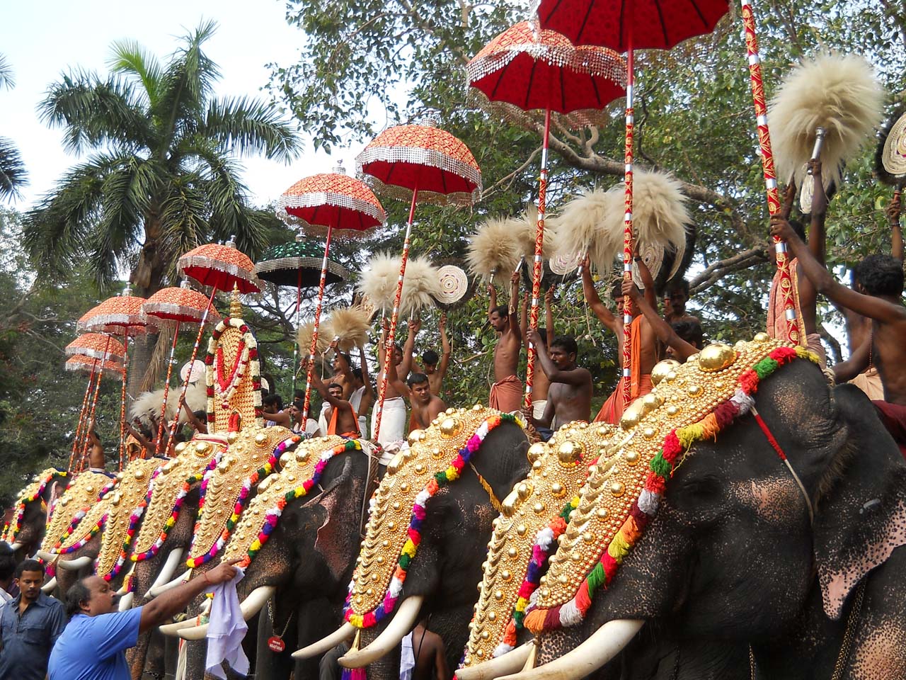 Thrissur Pooram Festivals of India