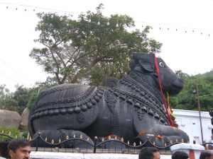 Monolithic statue of Nandi bull at chamundi Hill Mysore