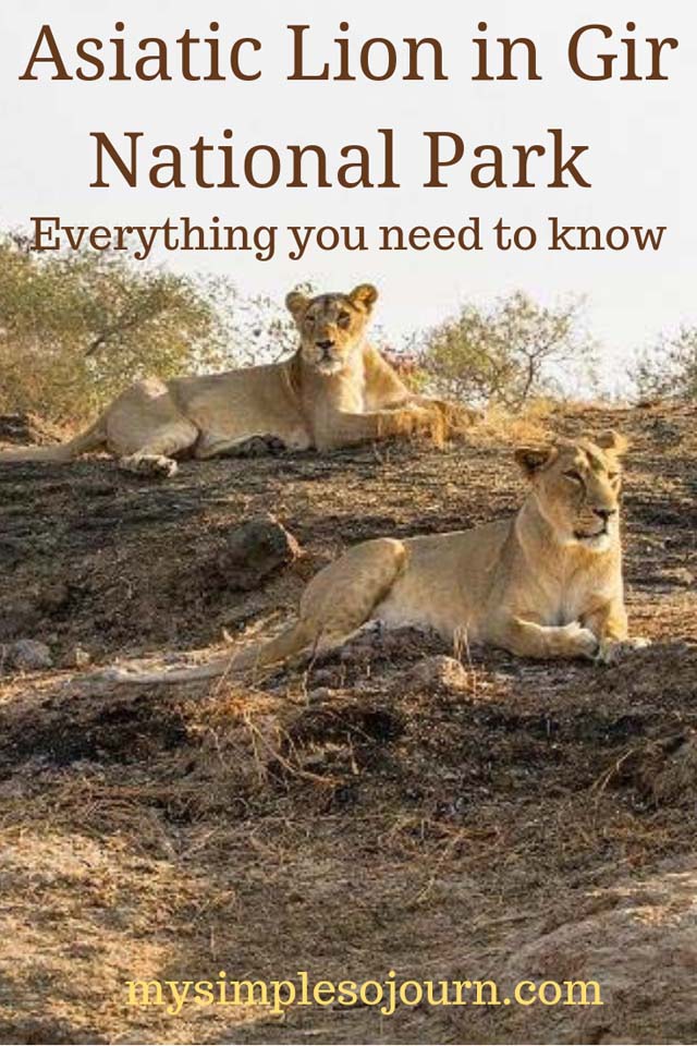 Gir National Park Safari and other Information