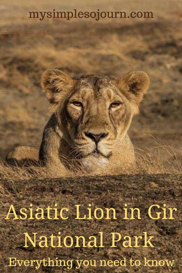 Gir National Park Safari and other Information
