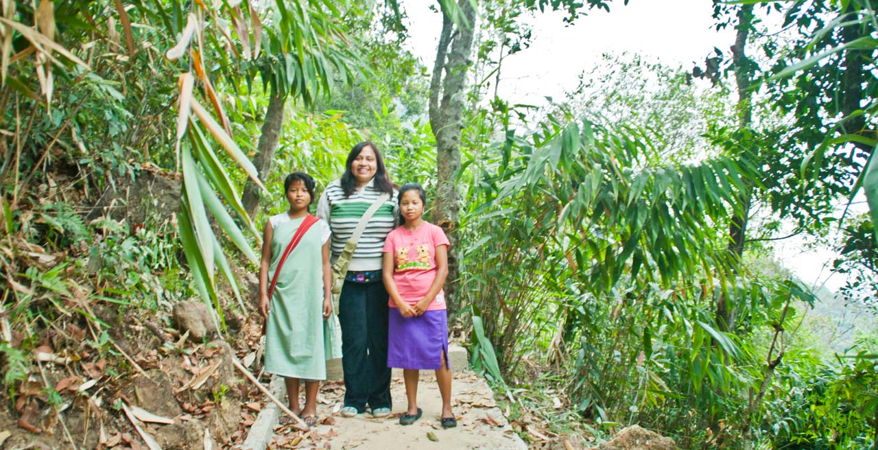 Guides on the Way to Living root bridge