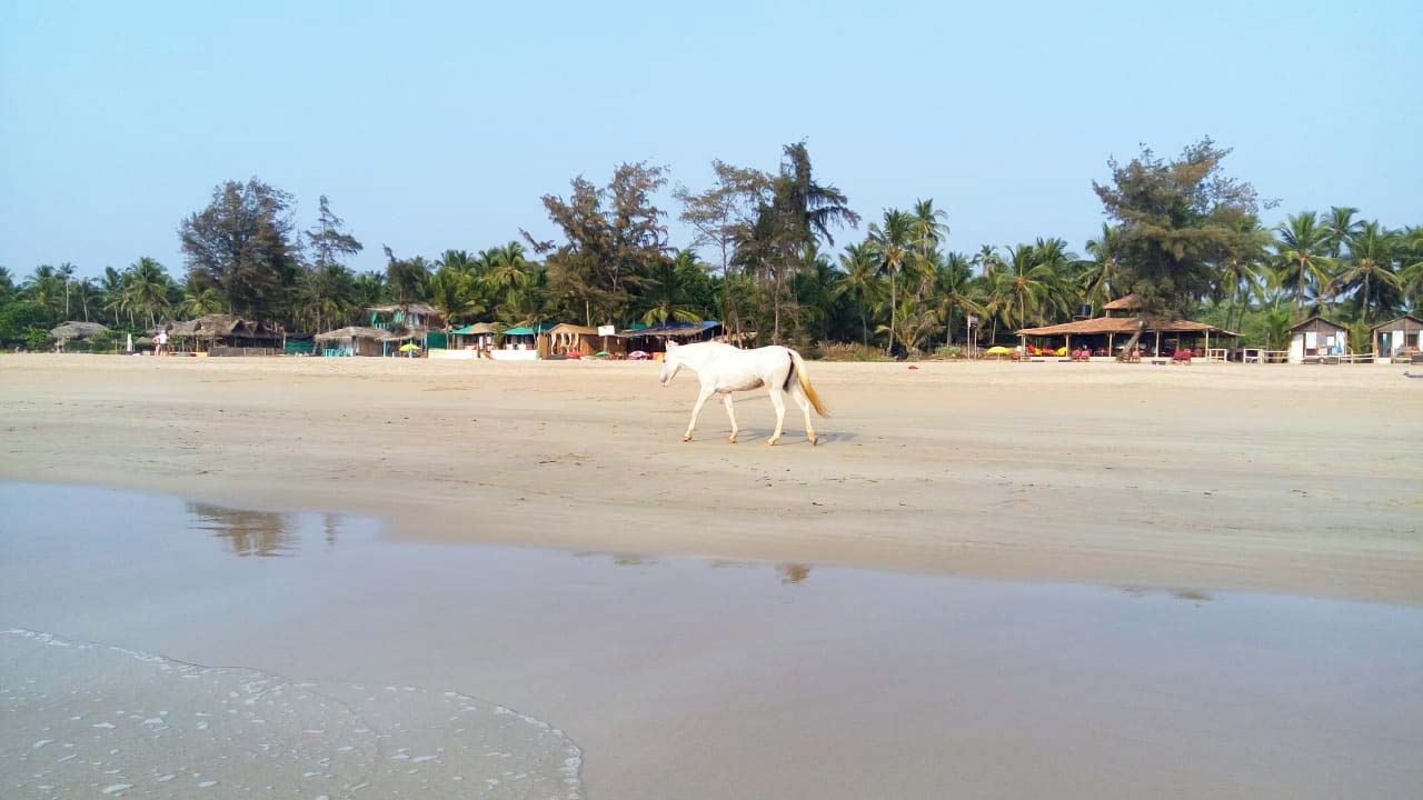Agonda beach Goa